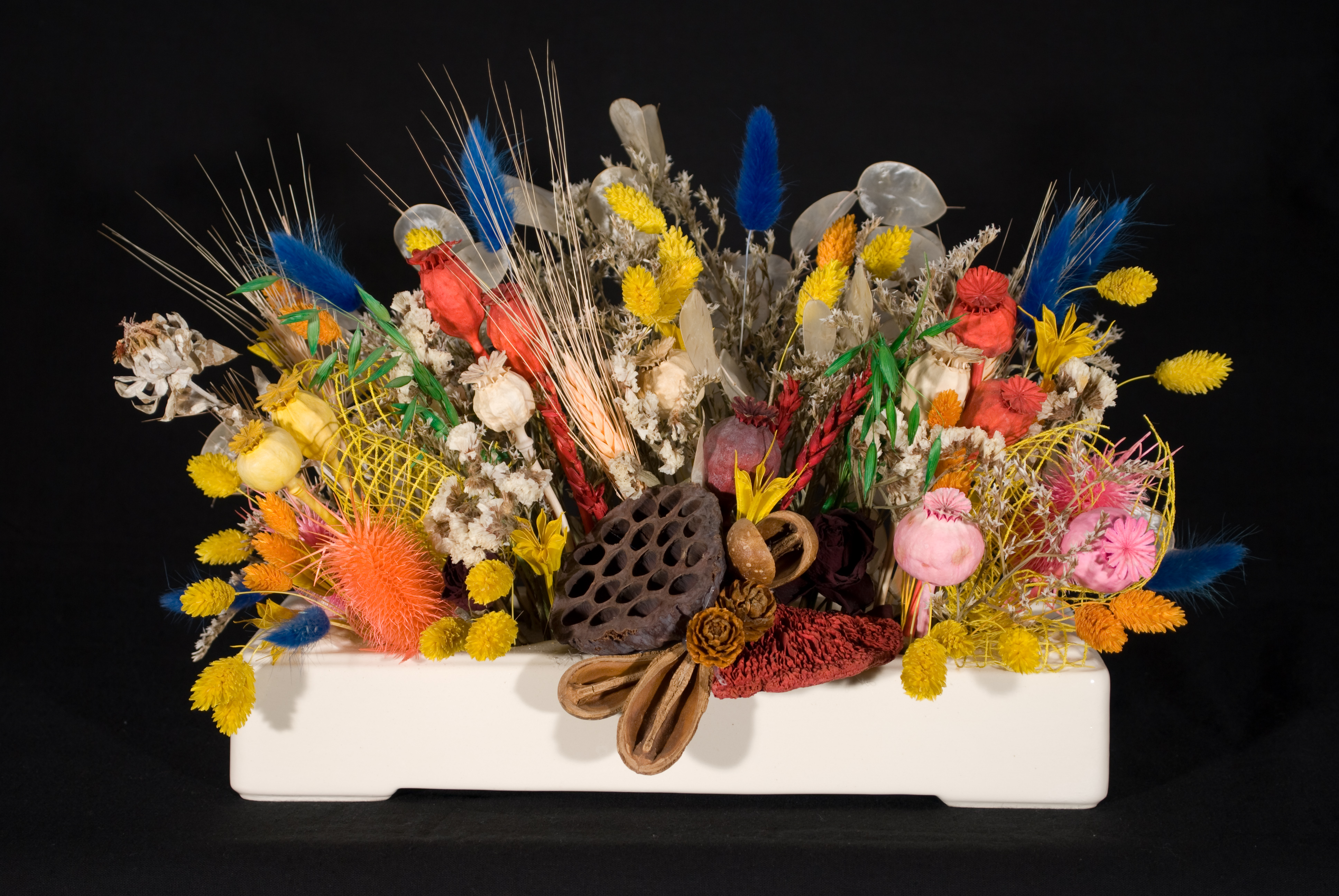 thumbnail image 2 of Nikon 18-55mm F/3.5-5.6G VR AF-P DX Lens (Renewed) - VR Stabilization Zoom Lens 2 of 13