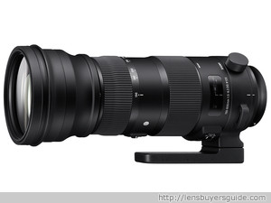 Sigma 150-600mm f/5-6.3 DG OS HSM S lens
