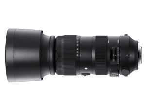 Sigma 60-600mm f/4.5-6.3 DG OS HSM S lens