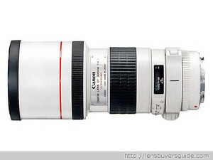 Canon EF 300mm f/4.0L USM lens