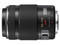 Panasonic Lumix G X Vario PZ 45-175mm f/4.0-5.6 ASPH POWER O.I.S. lens