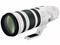 Canon EF 200-400mm f/4L IS USM Extender 1.4x lens