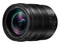 Panasonic Leica DG Vario-Elmarit 12-60mm f/2.8-4 ASPH. POWER O.I.S. lens